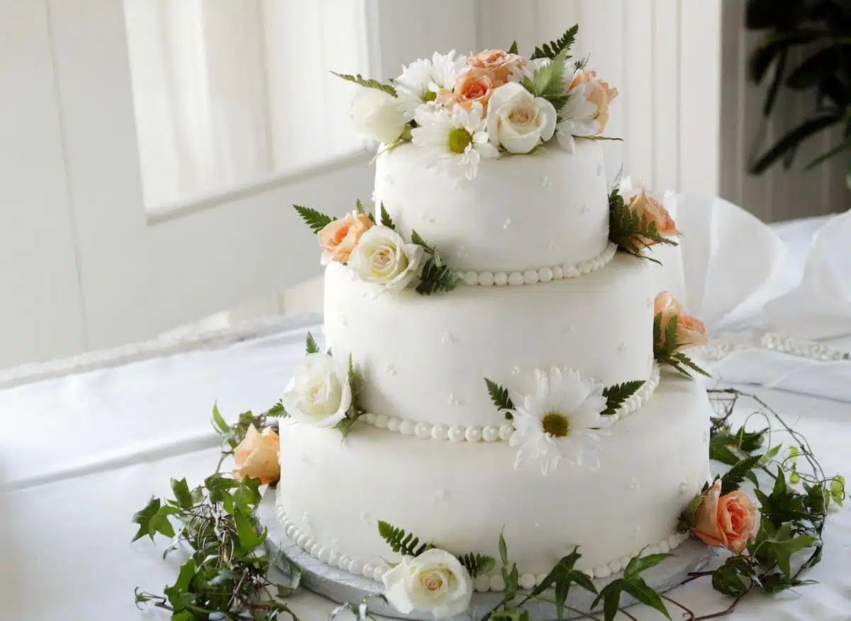 gâteau alternatif